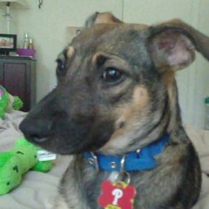 Meet your Posher, Dayna